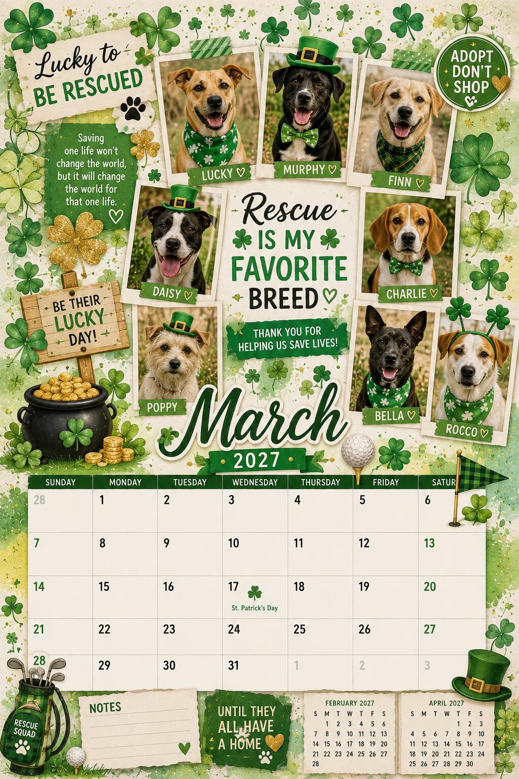 Animal Rescues & Shelters